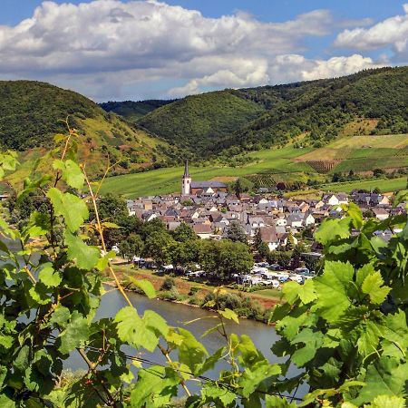 Moselhof Ferienwohnungen Bruttig-Fankel Exterior foto